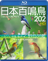 Blu-ray］日本百鳴鳥 202 HD | シンフォレスト公式サイト